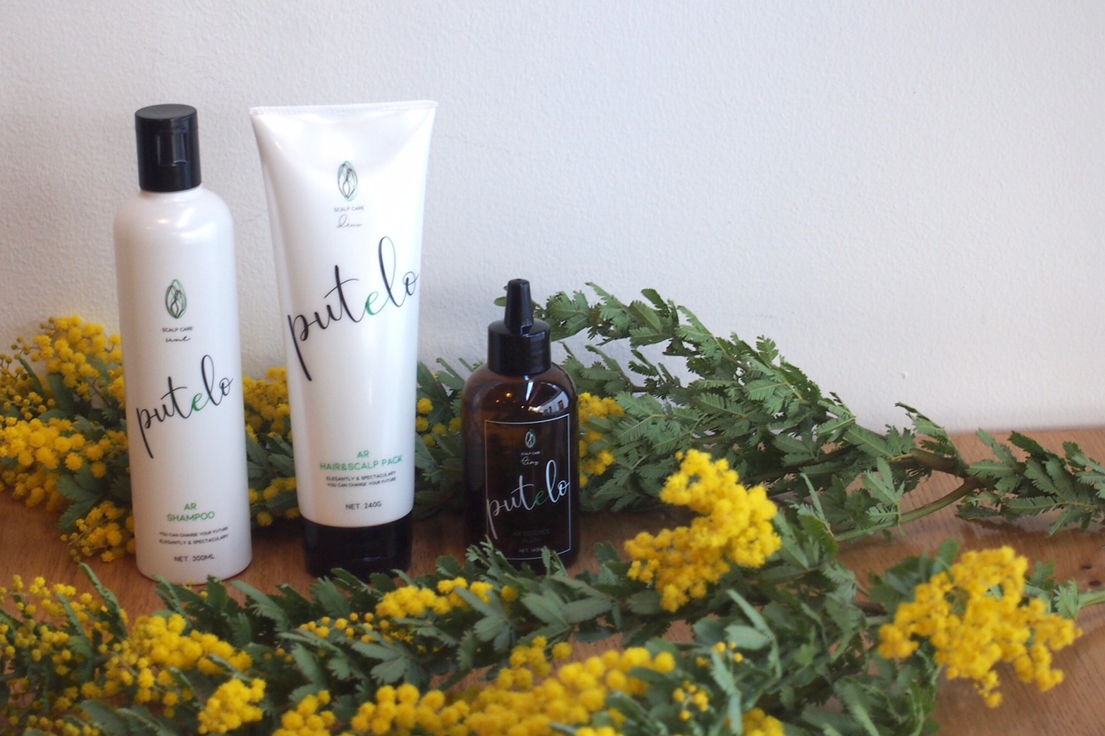 プテロシリーズ